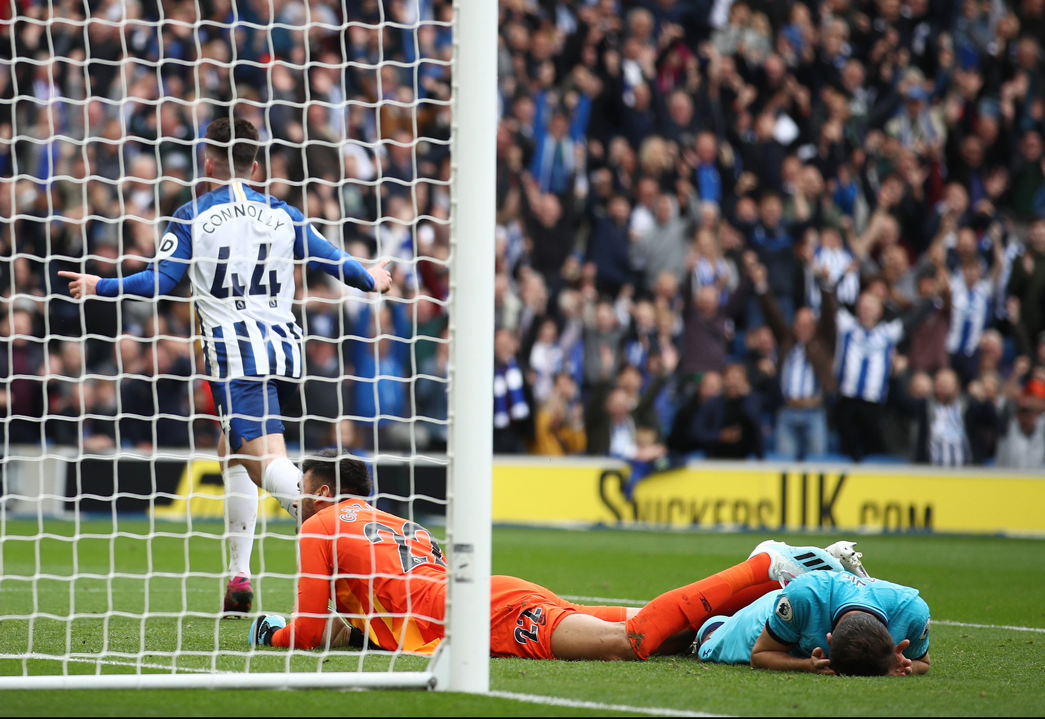 地寻找瓜子 地寻找瓜子